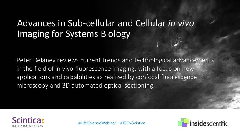 Techniques in Confocal Microscopy (Reliable Lab Solutions)